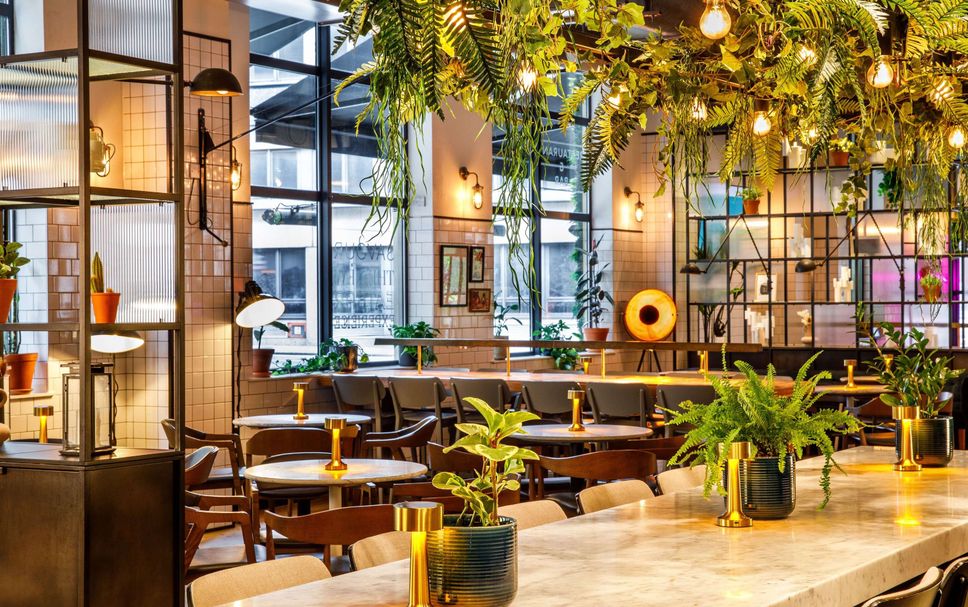 レストラン 写真