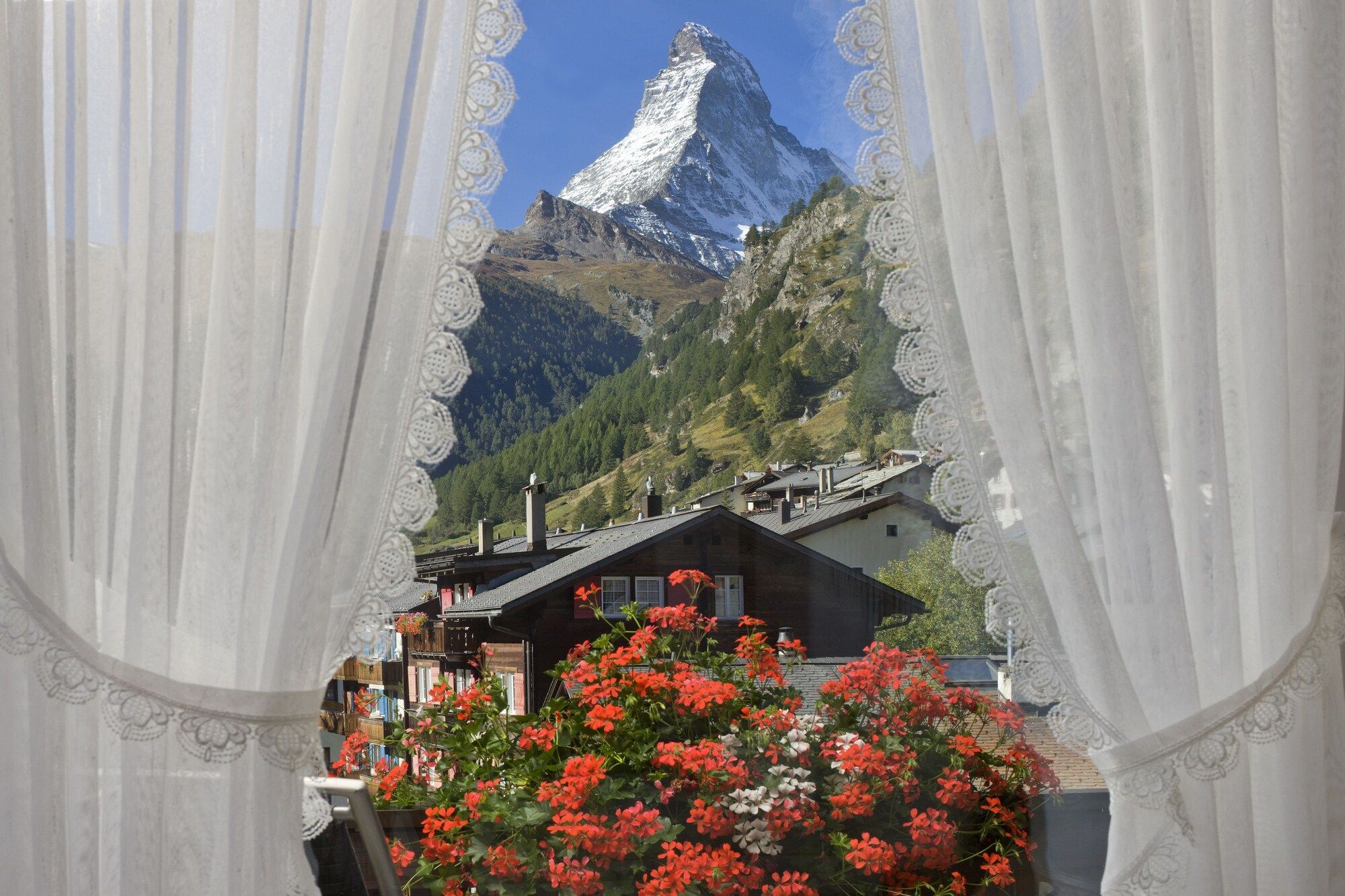 屋外の景色