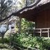 屋外の景色