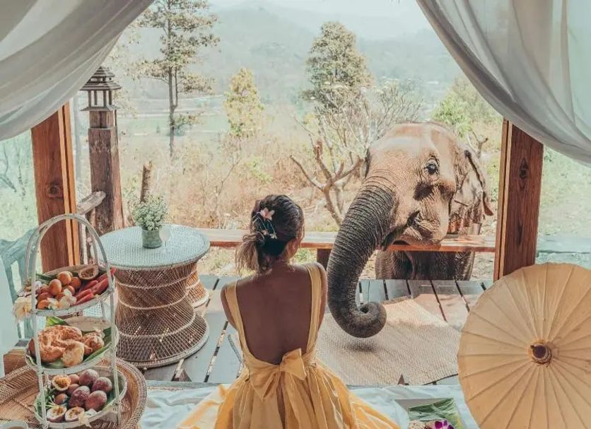 その他 写真