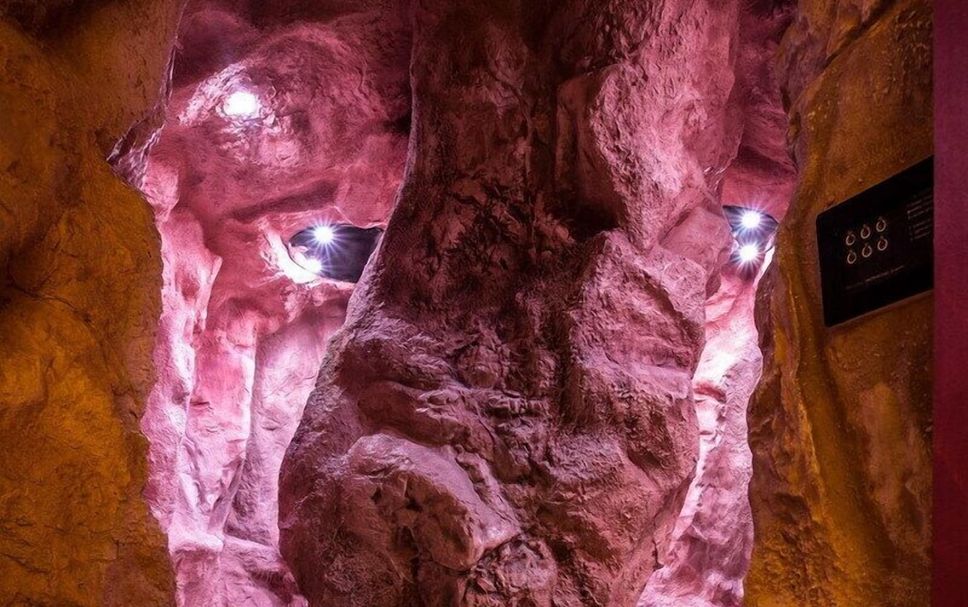 その他 写真