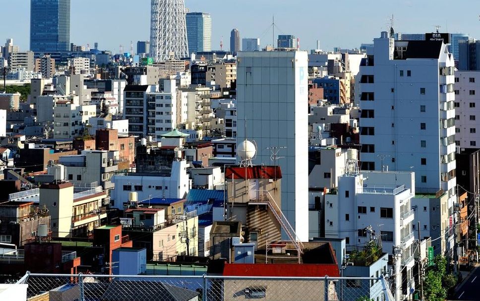 屋外の景色 写真