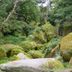 屋外の景色