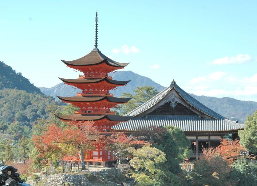 屋外の景色 写真