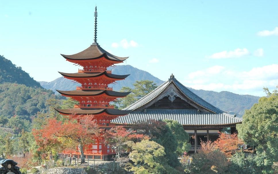 屋外の景色 写真