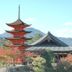 屋外の景色