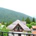 屋外の景色