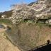 屋外の景色