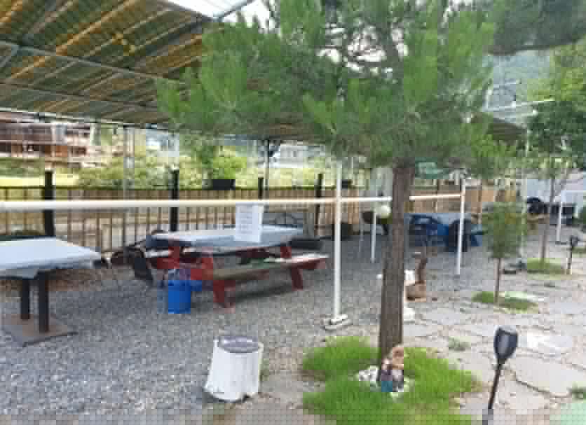 テラス 写真