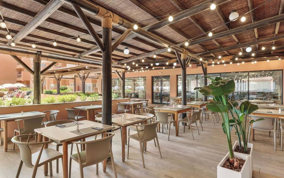 レストラン 写真