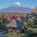 屋外の景色