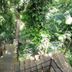 屋外の景色