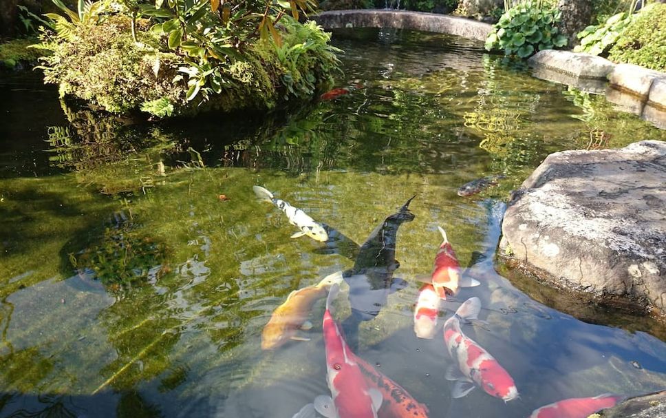 その他 写真