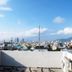 屋外の景色