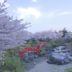 屋外の景色