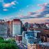屋外の景色