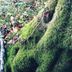 屋外の景色