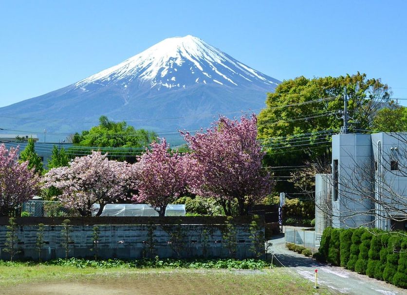 屋外の景色 写真