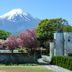 屋外の景色
