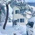 屋外の景色