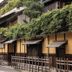 屋外の景色