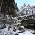 屋外の景色