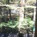 屋外の景色