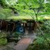 屋外の景色