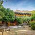 屋外の景色
