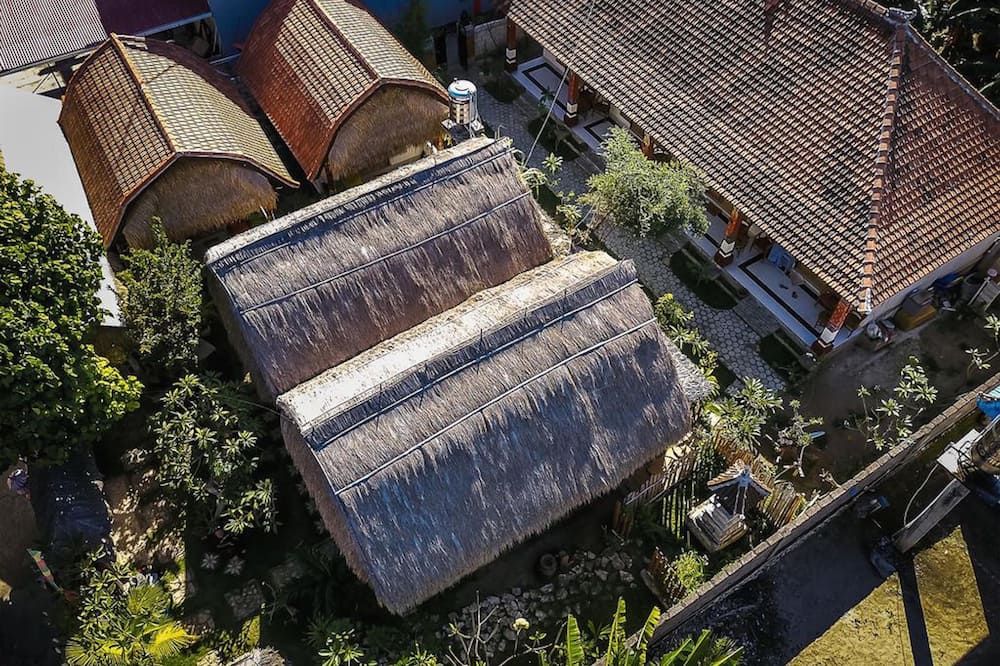 屋外の景色