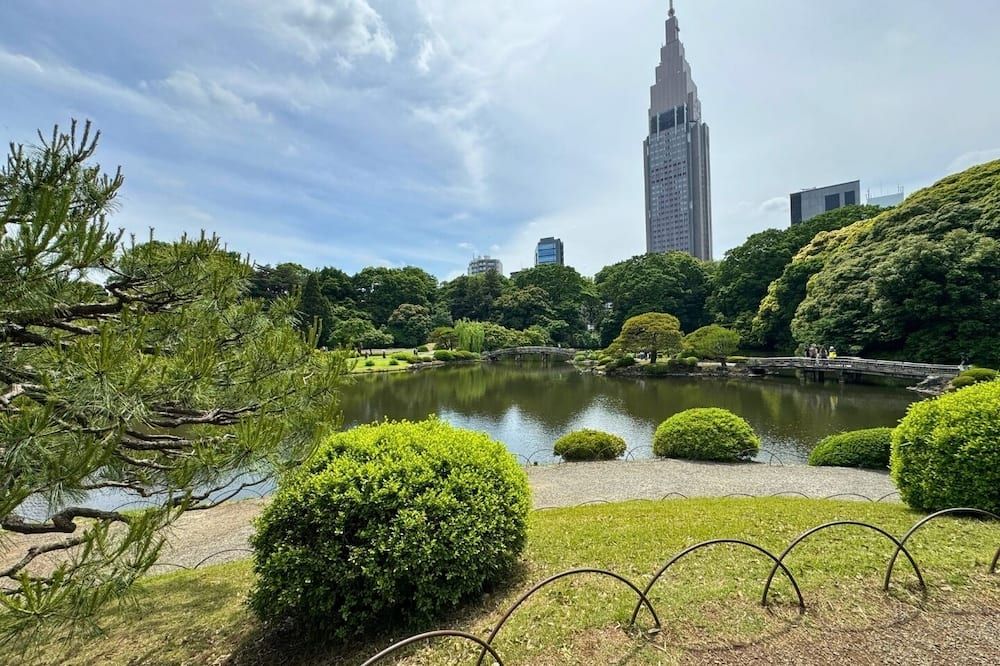 屋外の景色