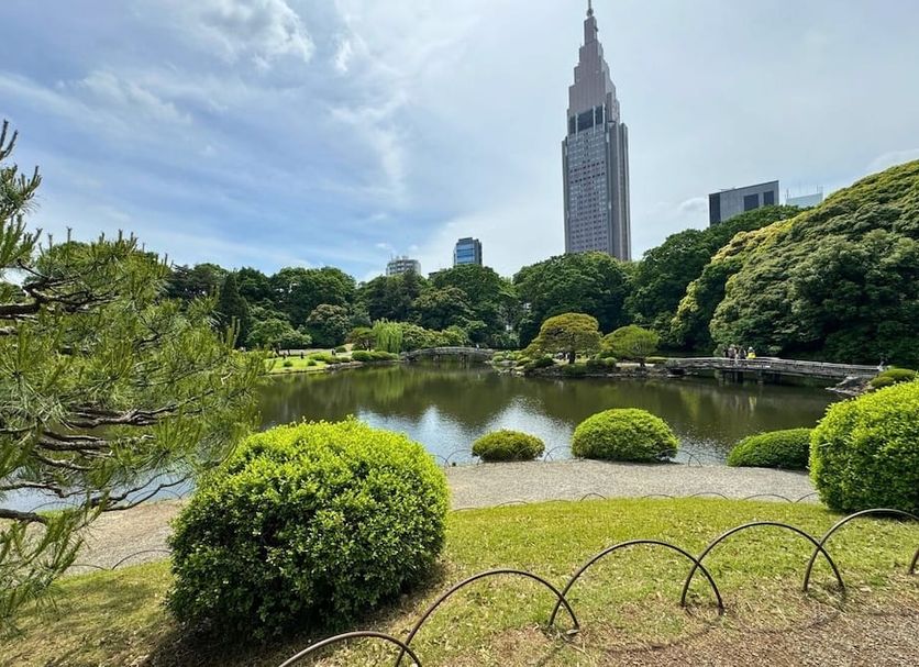 屋外の景色 写真
