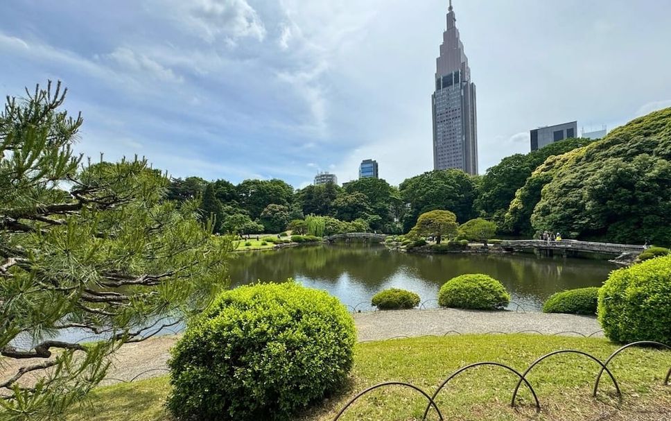 屋外の景色 写真
