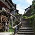 屋外の景色