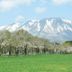 屋外の景色