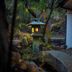 屋外の景色