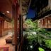 屋外の景色