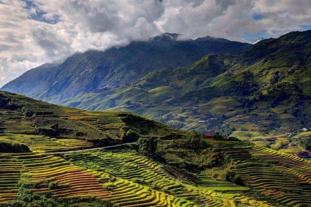 屋外の景色