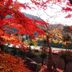 屋外の景色