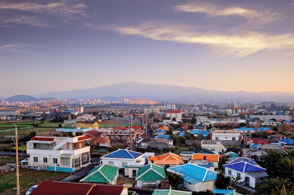 屋外の景色