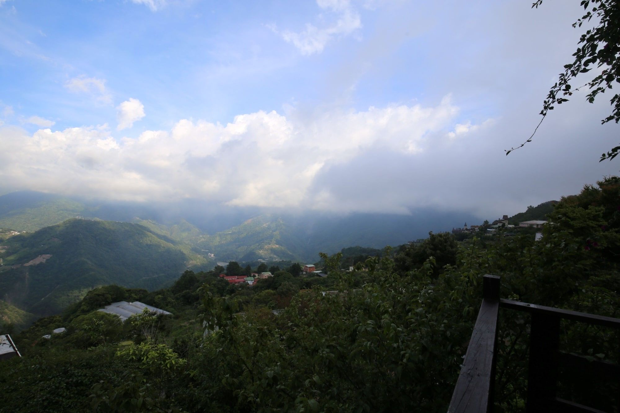 屋外の景色