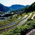 屋外の景色