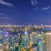 屋外の景色
