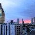 屋外の景色