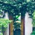 屋外の景色