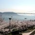 屋外の景色