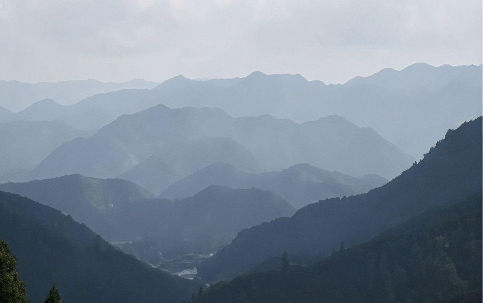 屋外の景色 写真