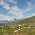 屋外の景色