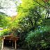 屋外の景色