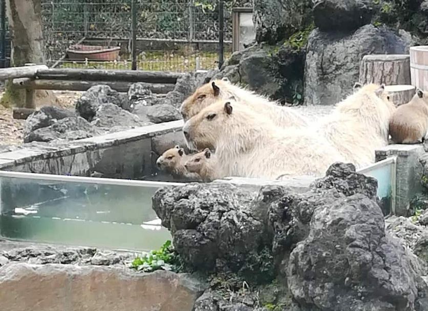 その他 写真